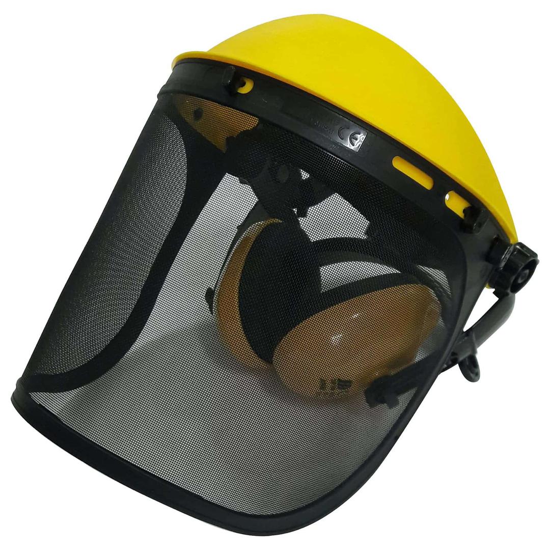 site face shield