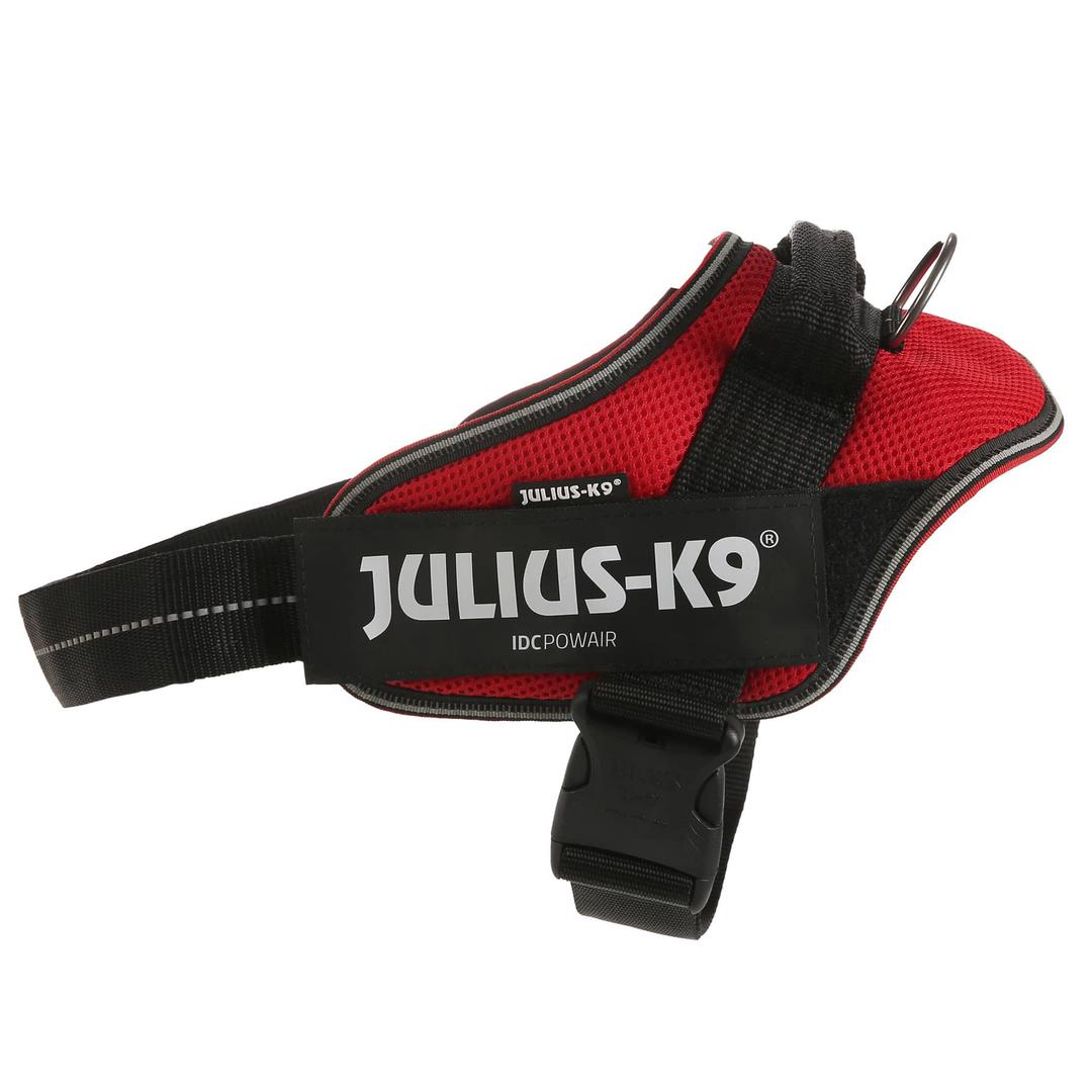 Julius 2024 k9 large