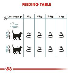 Royal Canin Hairball Care Dry Cat Food (Adult Cat, 2 kg)