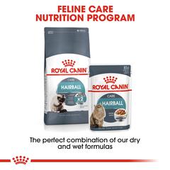Royal Canin Hairball Care Dry Cat Food (Adult Cat, 2 kg)